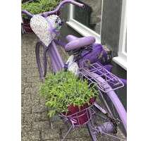 Einzelhandel in Niedernhausen 1.490,00 € 100 m²