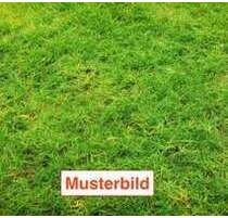 Grundstück zu verkaufen in Frankfurt 899.000,00 € 908 m²