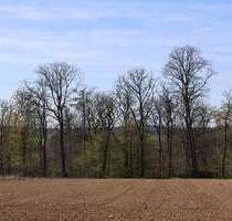 Haus zum Kaufen in Aichwald 498.000,00 € 166 m²