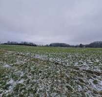 Grundstück in Ellwangen (Jagst) 563.500,00 € 2450 m²