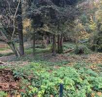 Grundstück zu verkaufen in Pirna 119.000,00 € 1139 m²