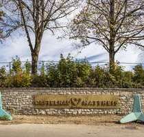 Grundstück zu verkaufen in Trier 312.750,00 € 695 m²