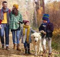 Haus zum Kaufen in Icking 1.800.000,00 € 180 m²