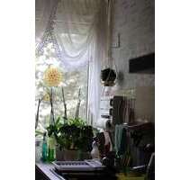 Wohnung zum Kaufen in Geithain 54.000,00 € 56.93 m²