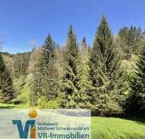 Grundstück in Triberg 195.000,00 € 160908 m²