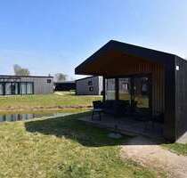 Haus zum Kaufen in Zwartewaal 212.000,00 € 59 m²