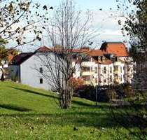 Wohnung zum Mieten in Waldheim 230,00 € 35 m²