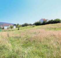 Grundstück zu verkaufen in Schieder-Schwalenberg 44.000,00 € 1000.02 m²