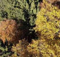 Grundstück in Röhrnbach 64.000,00 € 16479 m²