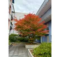 Wohnung zum Mieten in Frankfurt 1.399,00 € 91 m²