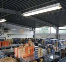Halle in Andernach 2.000,00 € 378 m²