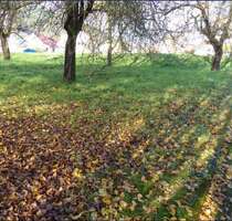 Grundstück zu verkaufen in Murrhardt 229.000,00 € 837 m²