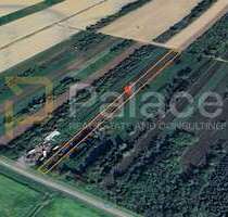 Grundstück zu verkaufen in Petrijevci 9.000,00 € 4326 m²