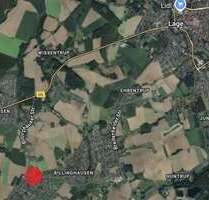 Grundstück zu verkaufen in Lage 60.000,00 € 300 m²