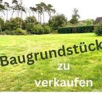 Grundstück zu verkaufen in Lingen 183.000,00 € 718 m²