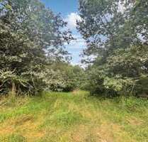 Grundstück in Kusel 580.000,00 € 6822 m²