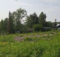 Grundstück zu verkaufen in Neustadt (Wied) Fernthal 118.000,00 € 1358 m² - Neustadt (Wied) / Fernthal