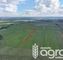 Grundstück in Ferdinandshof 39.900,00 € 52930 m²