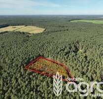 Grundstück in Alt Krenzlin Loosen 7.500,00 € 7695 m² - Alt Krenzlin / Loosen