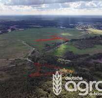 Grundstück in Eggesin 6.998,00 € 16392 m²