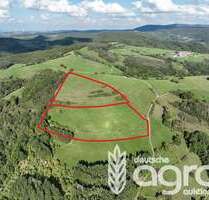 Grundstück in Schweisweiler 38.900,00 € 69936 m²