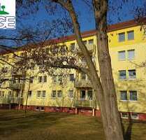 Wohnung zum Mieten in Eilenburg 309,00 € 56 m²