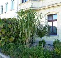 Wohnung zum Kaufen in Magdeburg 174.000,00 € 109.4 m²