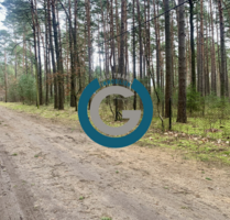 Grundstück zu verkaufen in Borkheide 47.000,00 € 1281 m²