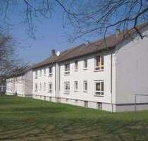 Wohnung zum Mieten in Kassel 299,50 € 36.39 m²