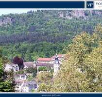 Wohnung zum Kaufen in Baden-Baden 1.980.000,00 € 381.8 m²