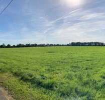 Grundstück zu verkaufen in Borna 299.000,00 € 1251 m²