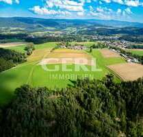 Grundstück zu verkaufen in Haselbach 137.240,00 € 68620 m²