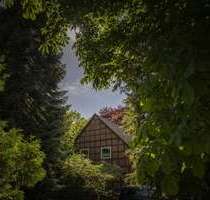 Haus zum Kaufen in Diepholz 349.000,00 € 297 m²