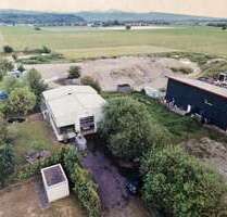 Halle in Breisach 2.250,00 € 250 m²