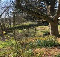 Haus zum Kaufen in Framersheim 449.000,00 € 170 m²