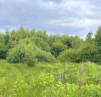 Grundstück in Edewecht 117.715,00 € 47086 m²