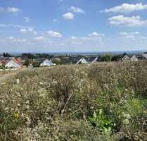 Grundstück zu verkaufen in Alfter 335.000,00 € 537 m²