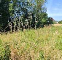 Grundstück zu verkaufen in Oberteuringen 380.000,00 € 858 m²