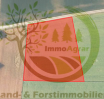 Grundstück in Schiltberg 118.000,00 € 7881 m²