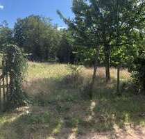 Grundstück zu verkaufen in Dromersheim 178.500,00 € 1250 m²