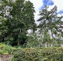 Wohnung zum Mieten in Wuppertal 476,25 € 63.5 m²