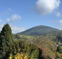 Wohnung zum Kaufen in Baden-Baden 780.000,00 € 215.56 m²