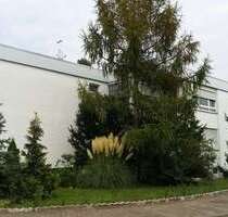 Wohnung zum Mieten in Rüsselsheim 450,00 € 33 m²