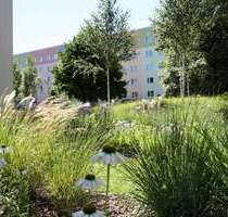 Wohnung zum Mieten in Pirna 256,68 € 49.2 m²