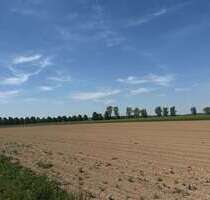 Grundstück zu verkaufen in Blaustein 120.000,00 € 15586 m²