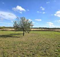 Grundstück zu verkaufen in Ahrensfelde 309.000,00 € 8076 m²