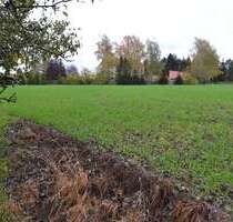 Grundstück in Bad Lausick 29.500,00 € 11510 m²