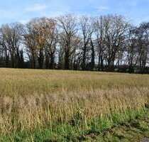 Grundstück in Nettetal-Leuth 136.200,00 € 13620 m²