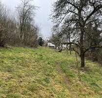 Grundstück zu verkaufen in Winterbach (Pfalz) 50.000,00 € 998 m²