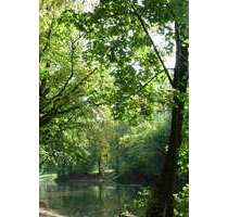 Wohnung zum Kaufen in Gräfelfing 745.000,00 € 73.87 m²